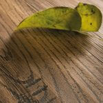 copertina news pubblicazione sito web anticofilo web designer treviso pederivastudio
